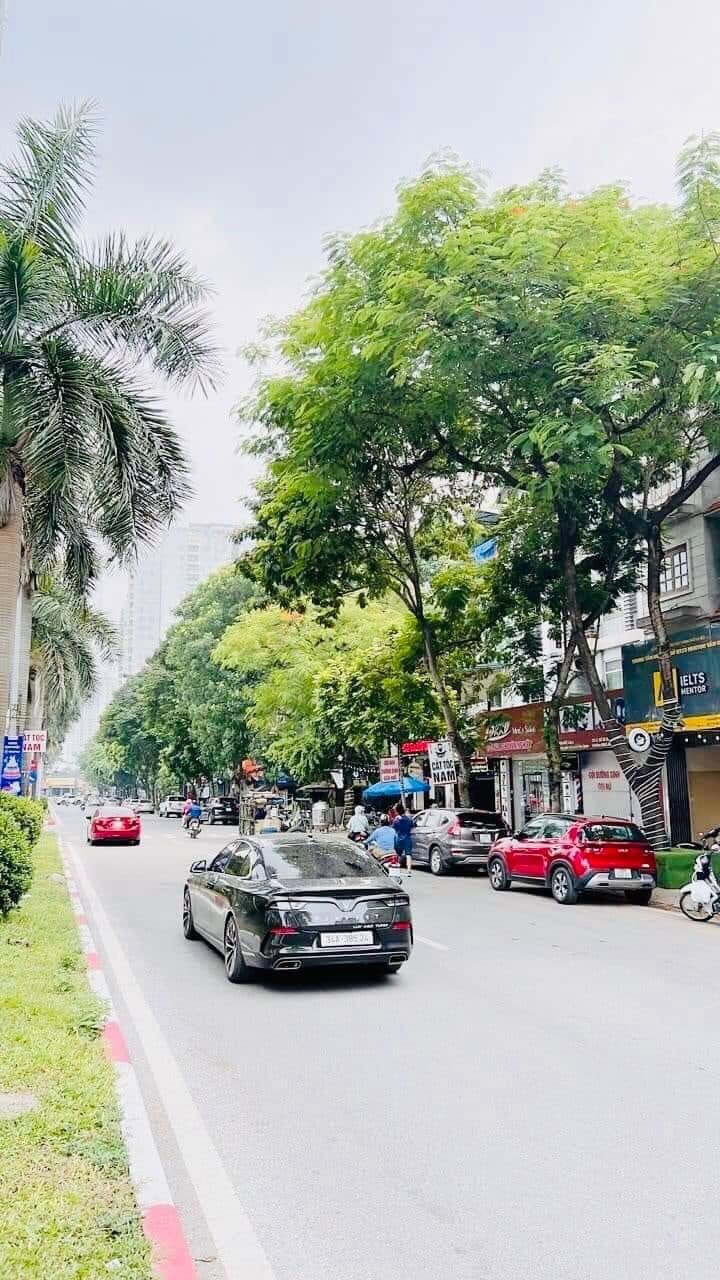 Bán Gấp Mặt Phố Nguyễn Khuyến - 5m+ KD Ngày Đêm - Hiếm Có