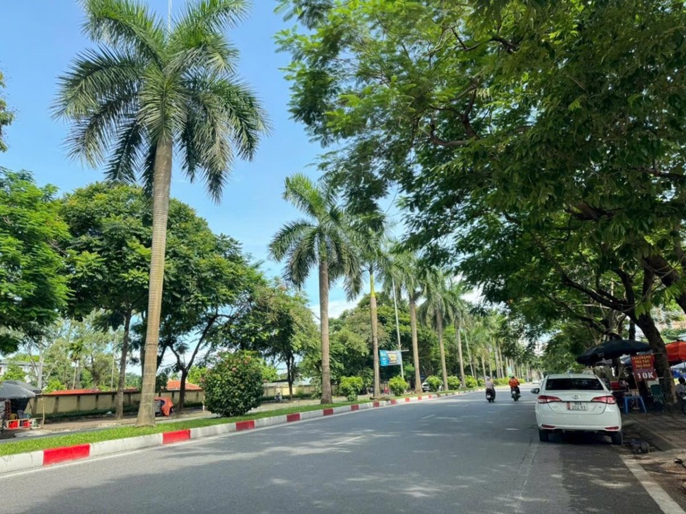 Mặt Phố Kinh Doanh Ngõ 110m2, Hà Đông - Giá 13.9 tỷ