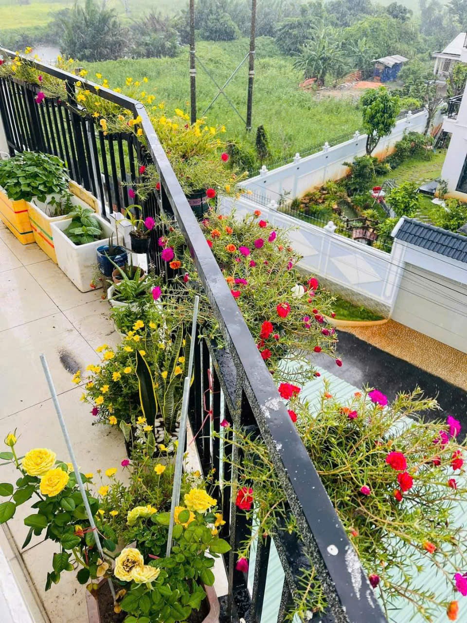 Phòng Trọ 32m2 Có Ban Công, Máy Lạnh, Free WiFi - Linh Đông, Thủ Đức