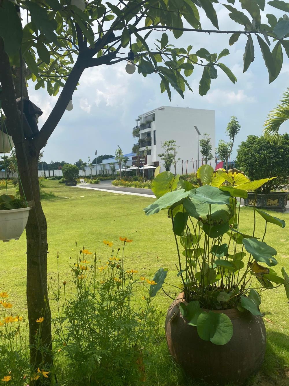 Nhà Phố 3 Tầng, 162m2, Lộ Giới 13m - Hạ Tầng Hoàn Thiện, Vỉa Hè