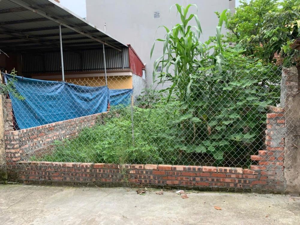 Thổ Cư Lai Xá Hoài Đức - 50m² Mặt Tiền - 8 Tỷ - Đầu Tư Sinh Lời