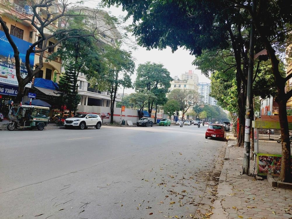 Bán Đất Linh Đàm 255m2 Mặt Tiền 11m - Vị Trí Đắc Địa, Kinh Doanh Đa Năng