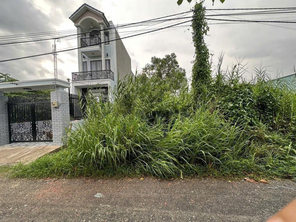 Bán Gấp Lô Đất 210m2 Thổ Cư Mặt Tiền Lô B Đường Thanh Niên, Bình Chánh - Giá Tốt