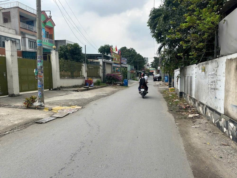 Bán Gấp Lô Đất 210m2 Thổ Cư Mặt Tiền Lô B Đường Thanh Niên, Bình Chánh - Giá Tốt