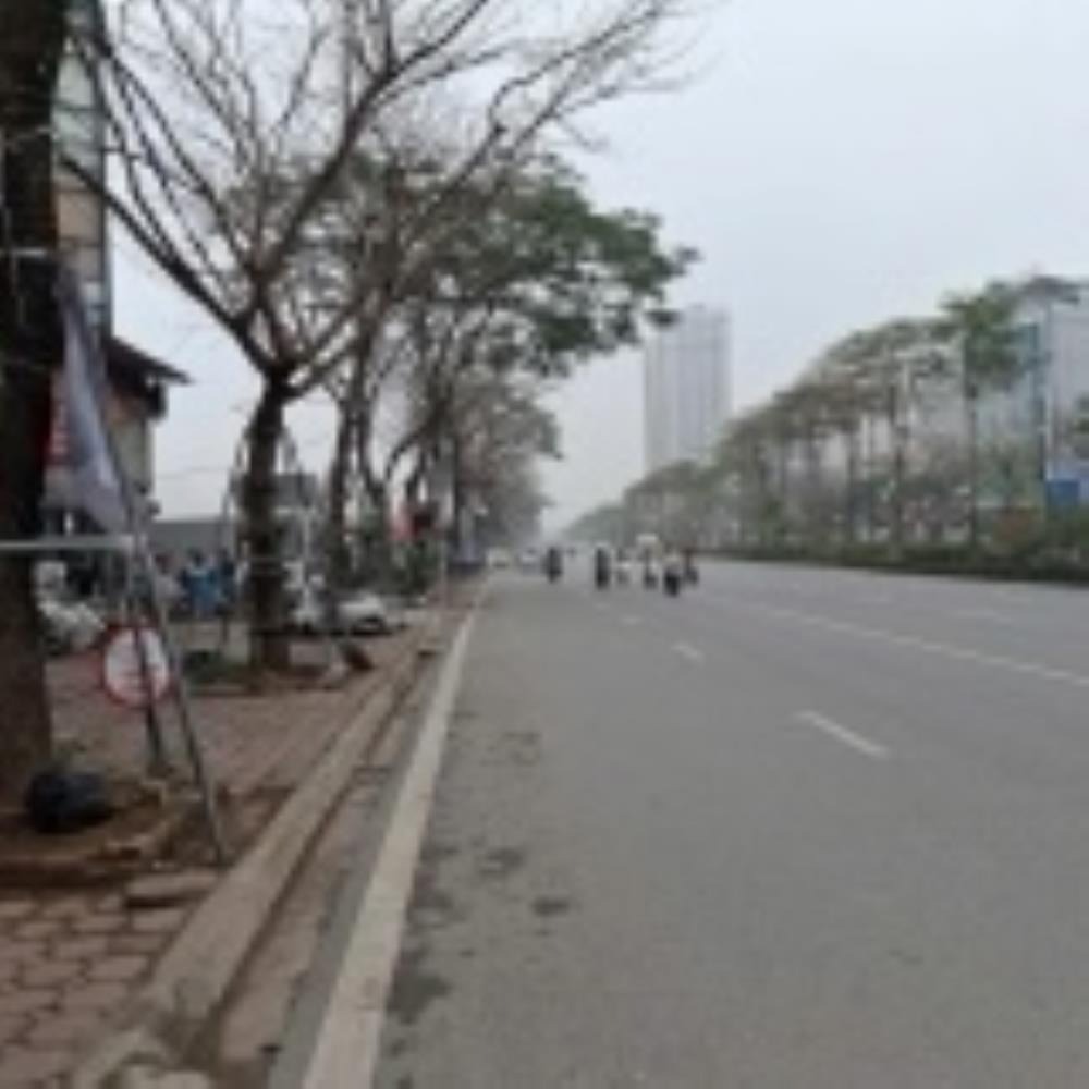 Mặt Phố Võ Chí Công - Cầu Giấy - 65m2 - 5 Tầng - Thang Máy - Kinh Doanh Sầm Uất