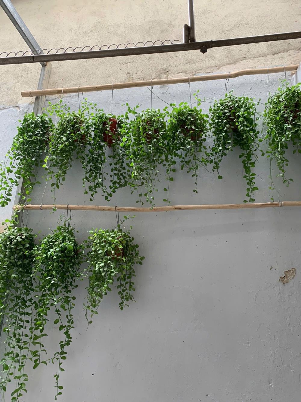 Bán nhà 2 tầng, đường số 2, P3, Gò Vấp - 3.2 tỷ, tương lai ra mặt tiền