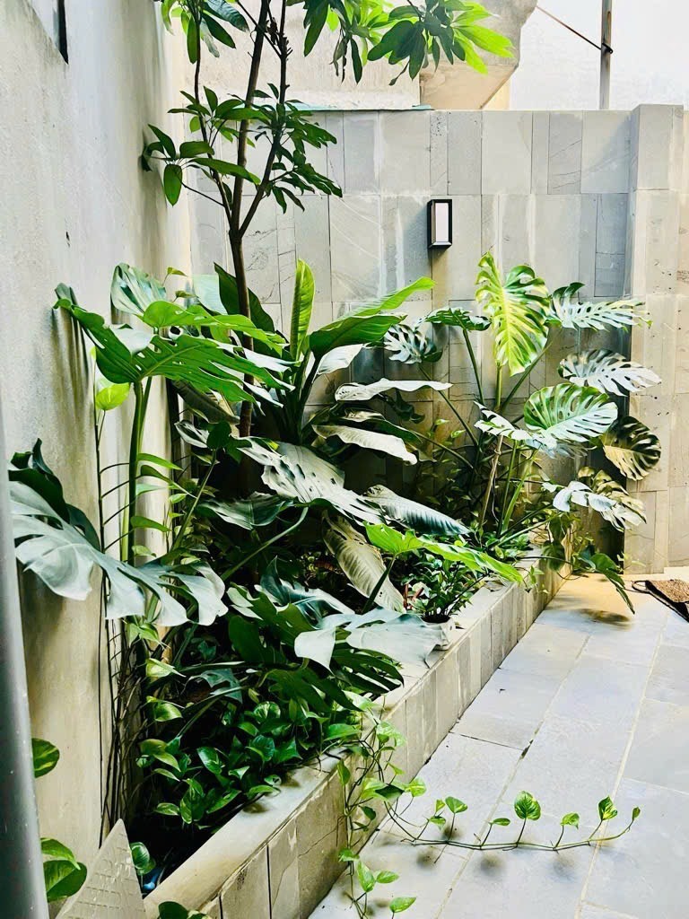 Căn Villa Cao Cấp Mặt Tiền Quận Thanh Xuân, Hà Nội - 155m2