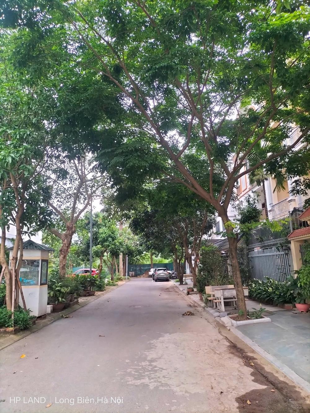 Biệt Thự Hiện Đại 500m² Việt Hưng, Long Biên - Giá 60 Tỷ