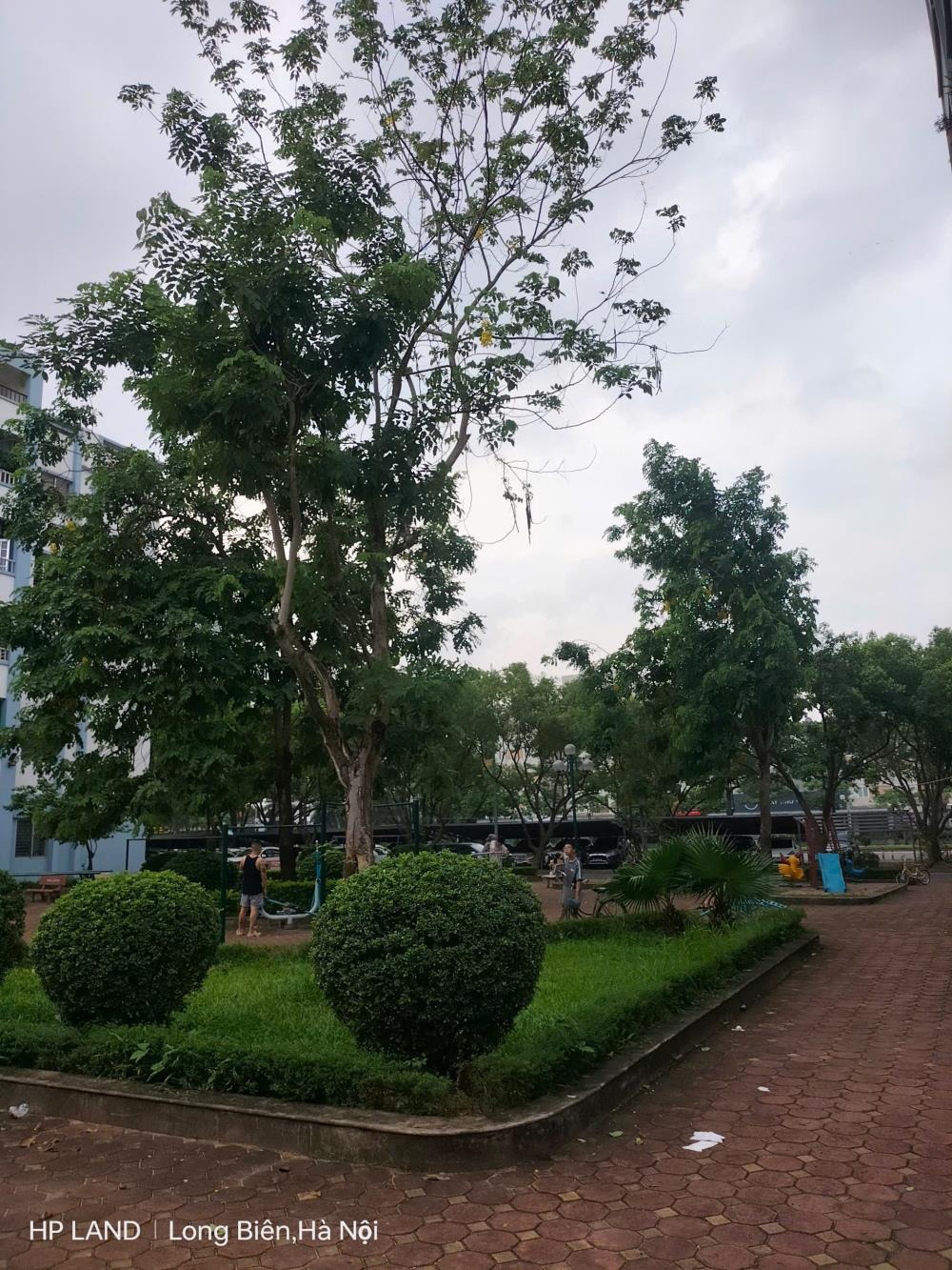 Biệt Thự Hiện Đại 500m² Việt Hưng, Long Biên - Giá 60 Tỷ