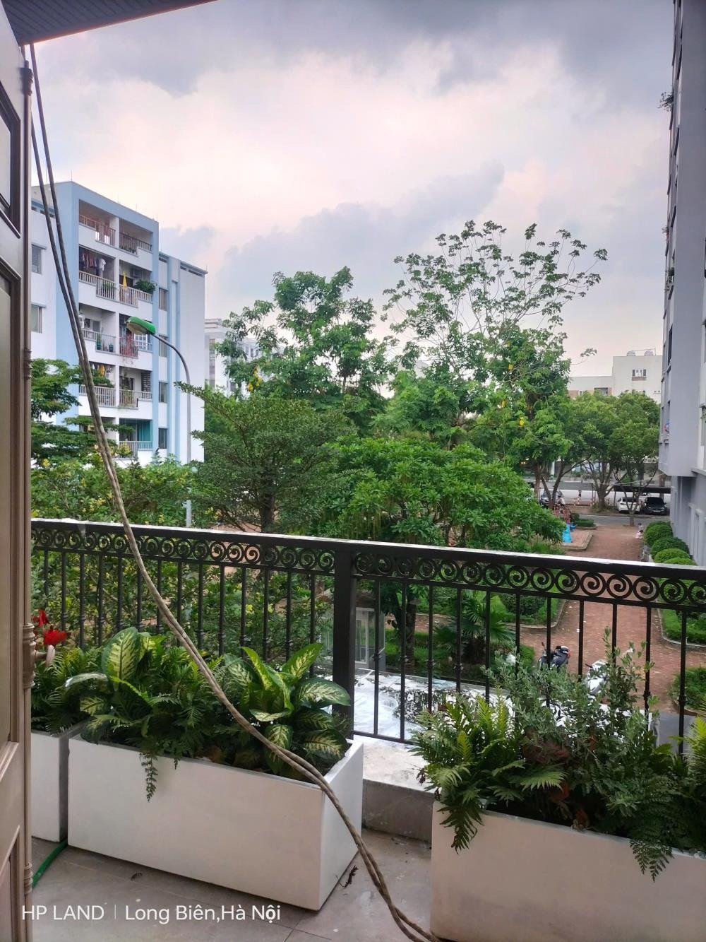 Biệt Thự Hiện Đại 500m² Việt Hưng, Long Biên - Giá 60 Tỷ