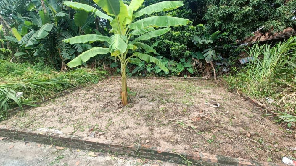 Bán Gấp Đất Đẹp Tại Tiên Lệ, Hoài Đức - 41m², Giá Tốt, Pháp Lý Sạch