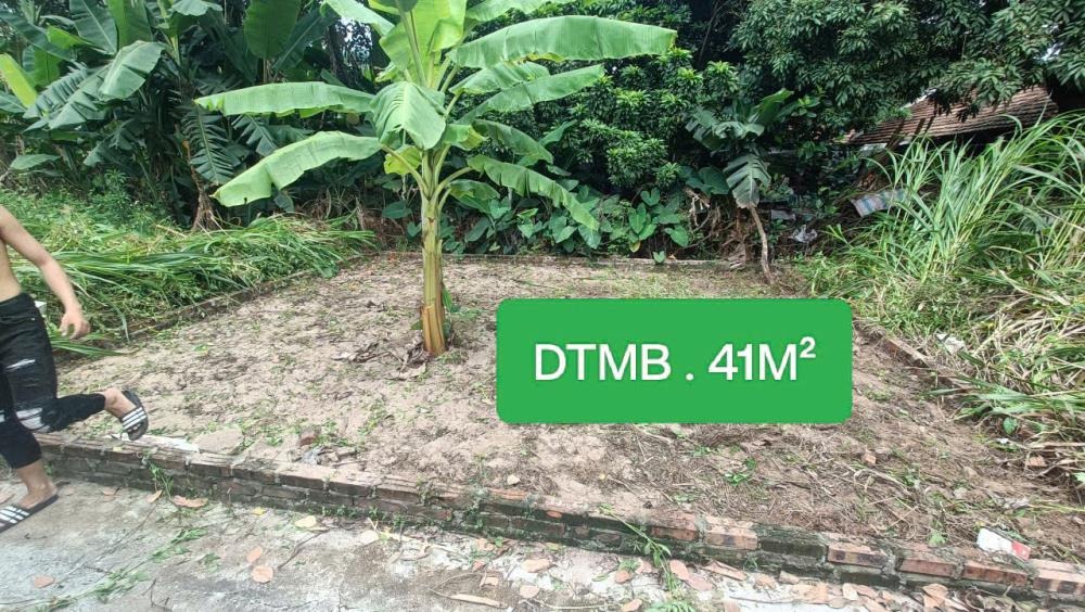 Bán Gấp Đất Đẹp Tại Tiên Lệ, Hoài Đức - 41m², Giá Tốt, Pháp Lý Sạch