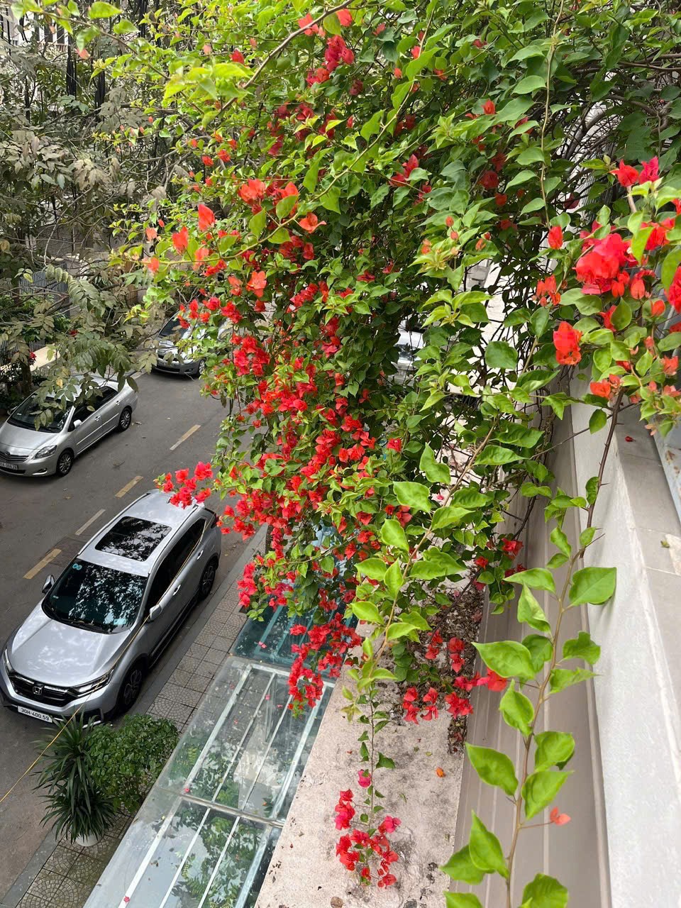 Bán Nhà Phân Lô KĐT An Hưng: Vỉa Hè, Vườn Trên Cao, Giá Tốt