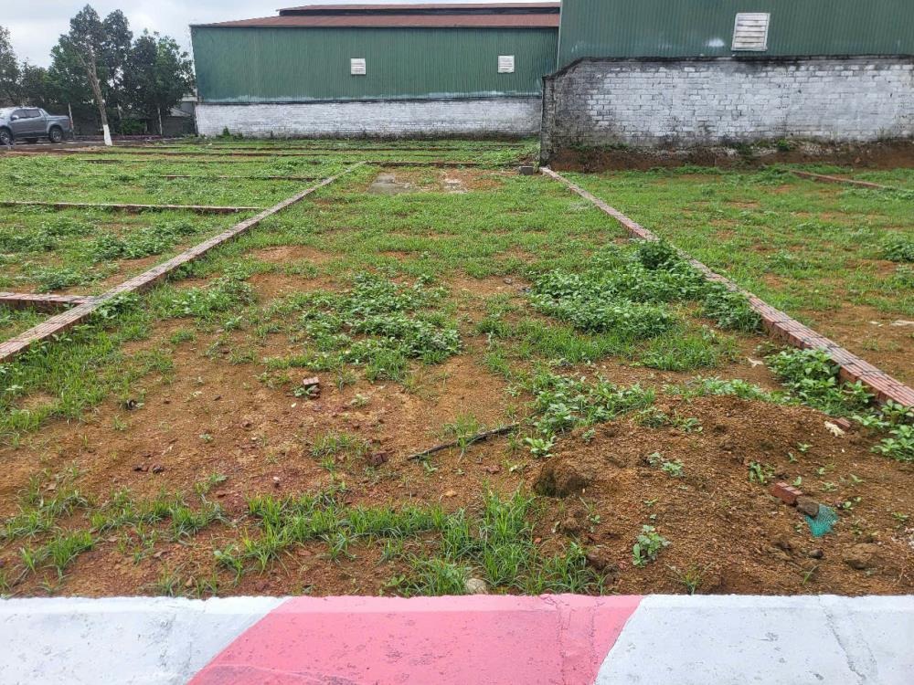 Bán Đất Nền Sổ Đỏ 100m2 Thổ Cư - Sơn Đông, Thạch Thất, Hà Nội