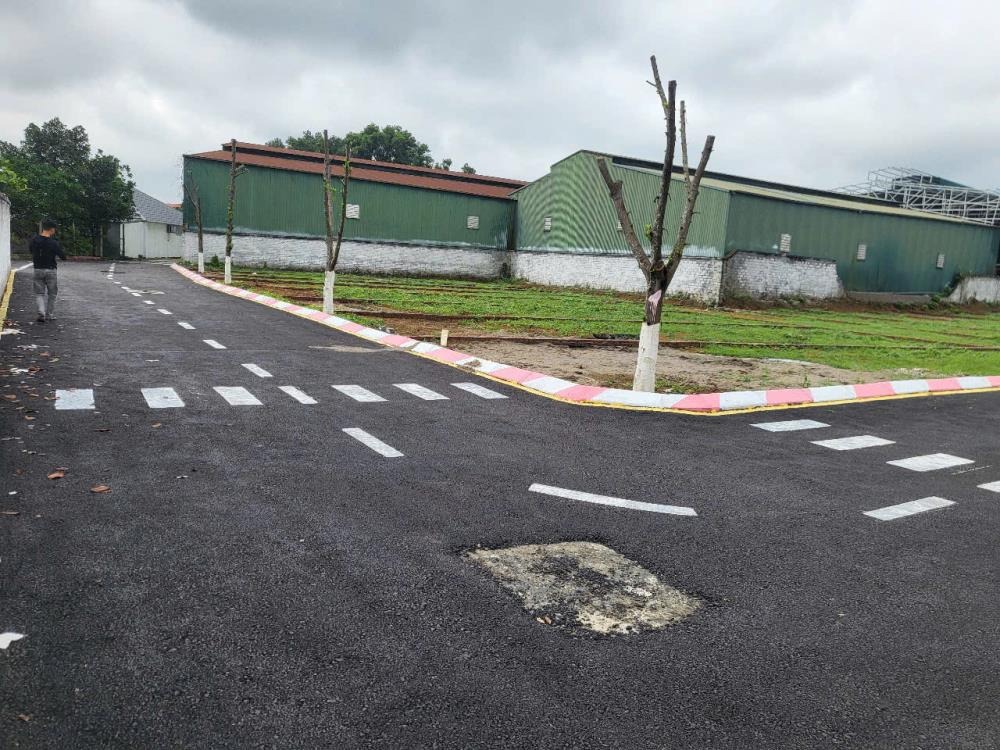Bán Đất Nền Sổ Đỏ 100m2 Thổ Cư - Sơn Đông, Thạch Thất, Hà Nội