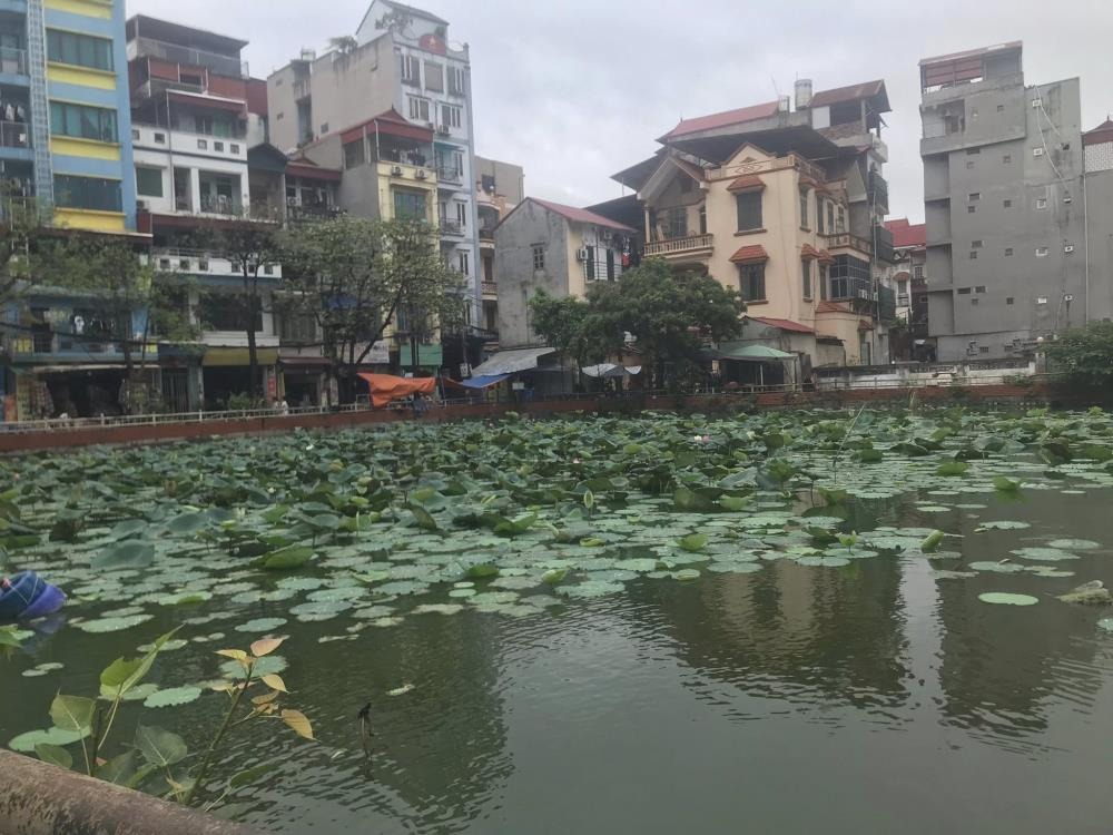 Nhà Đẹp Mặt Tiền Gara Ô Tô, 5 Tầng, Trần Bình 74m² - Giá 19.5 Tỷ