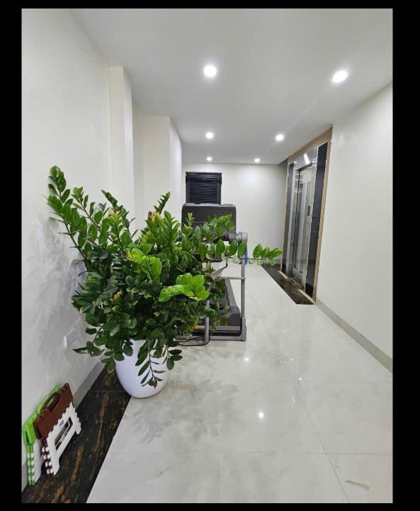 Siêu phẩm nhà mới Cầu Giấy: 60m2, 7 tầng, thang máy, ô tô tránh - Mạc Thái Tổ