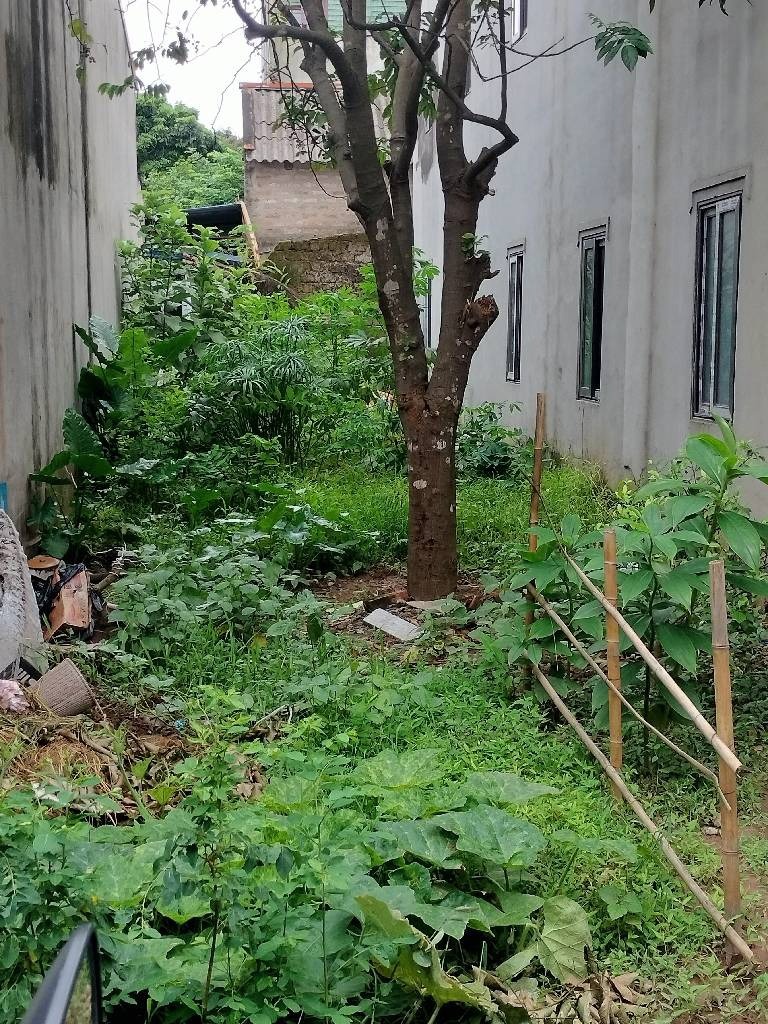 Bán Đất Phụng Châu Chương Mỹ 81m2 - Giá 3.75 Tỷ - Vị Trí Đẹp
