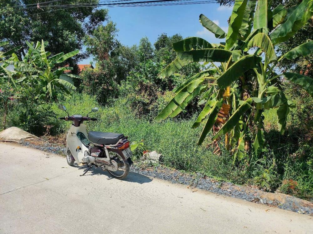 11.6 tỷ - 1038m2 Đất Mặt Tiền An Hạ, Bình Chánh - Ngay KDC An Hạ