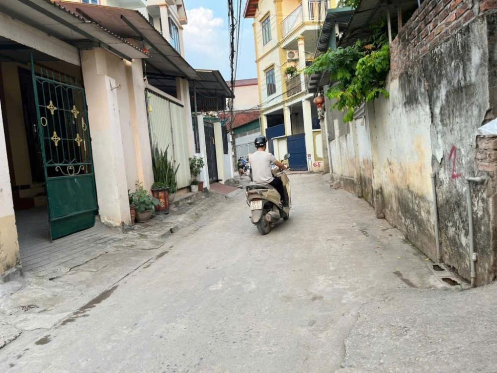 Bán Lô Đất 81m2 Mạch Lũng, Đại Mạch - Đầu Tư Sinh Lời, Gần Cầu Thượng Cát