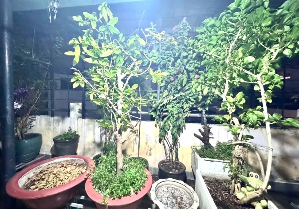 Gấp bán nhà Nguyễn Văn Đậu 97m2, 4 tầng, 14.7 tỷ - Vị trí đắc địa