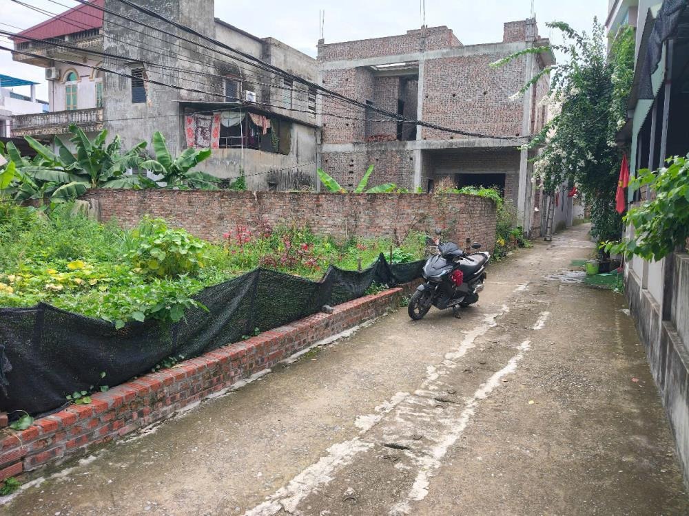 Đất Mặt Tiền Đông Anh Giá Tốt - 66m² - Ô Tô Tránh - Đầu Tư/Ở