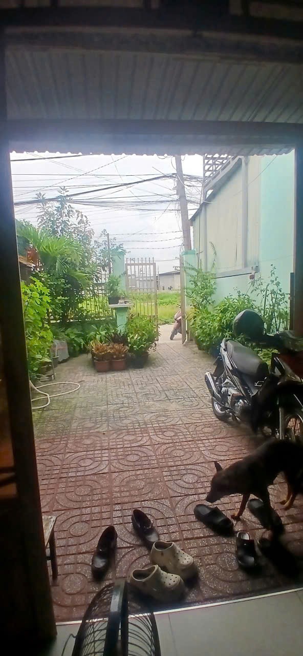 Bán nhà SHR mặt tiền kinh doanh Hóc Môn - 132m² - 2.19 tỷ
