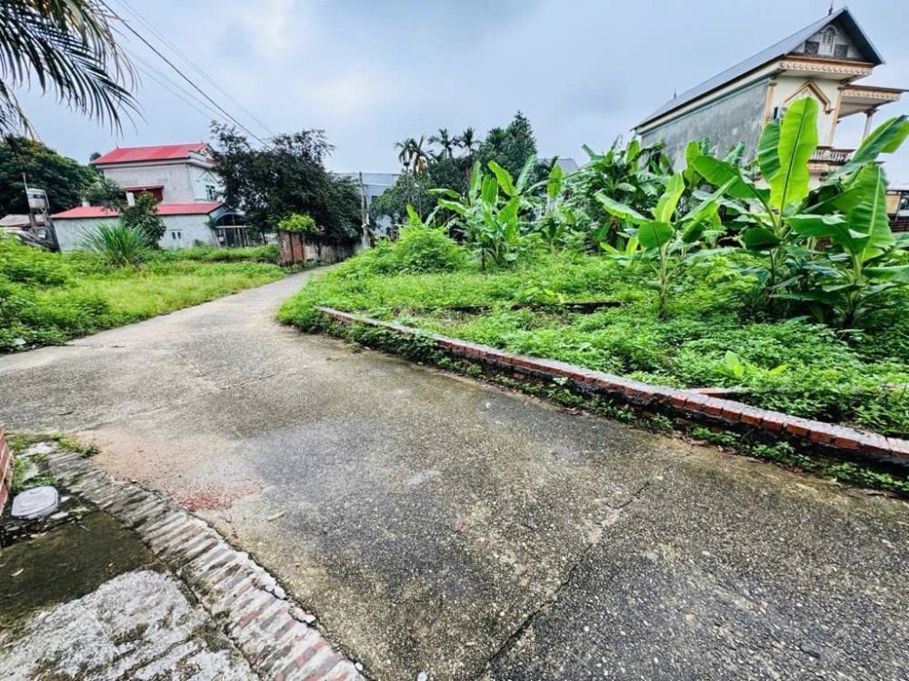 Đất Đẹp Sóc Sơn 75m2 Phù Linh - Ngõ Ô Tô, Pháp Lý Chuẩn