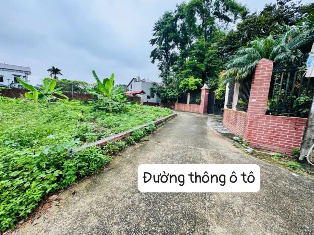 Đất Đẹp Sóc Sơn 75m2 Phù Linh - Ngõ Ô Tô, Pháp Lý Chuẩn