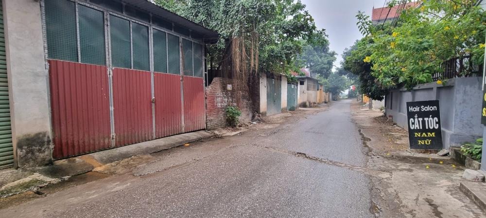 Đất Thổ Cư Giá Tốt Tại Kiêu Kỵ, Gia Lâm - Đầu Tư Sinh Lời