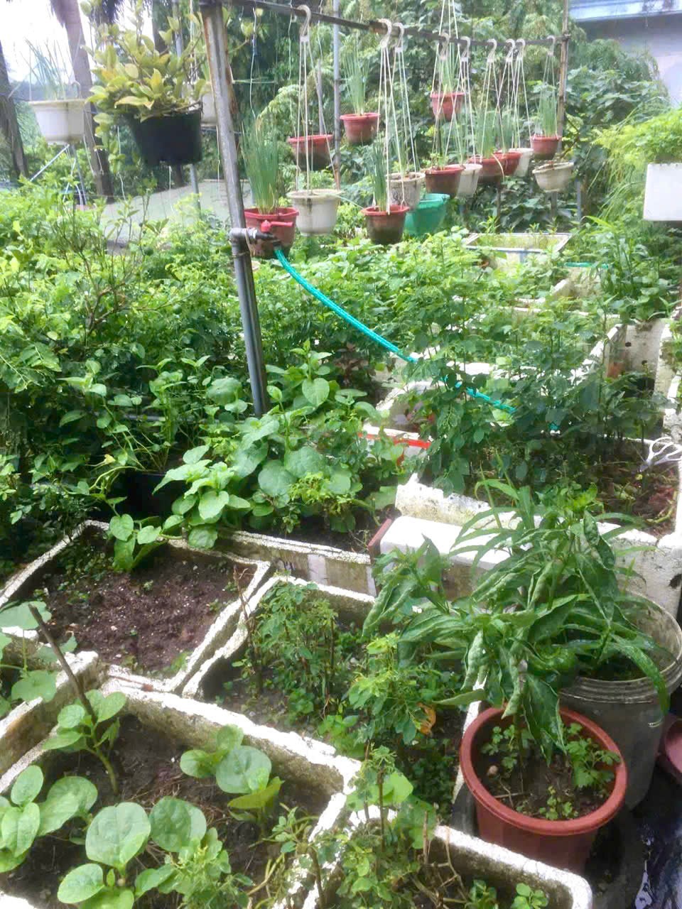 Bán Chung Cư Tập Thể Quân Đội 39m2 Đại Mỗ - Giá Chỉ 3.95 Tỷ