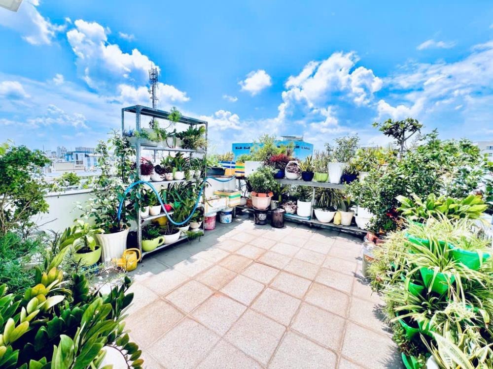 Bán Nhà Tân Bình - Nguyễn Sỹ Sách - 82m² - 6 Tầng - Thang Máy - 12.5 Tỷ