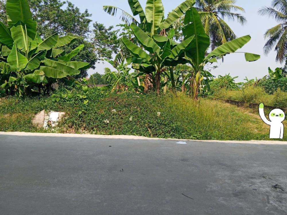 🌿 Chỉ 4x tr/m² - Bán Đất Đẹp Xã Bình Minh, Đường Ô Tô Tránh - 0977690119