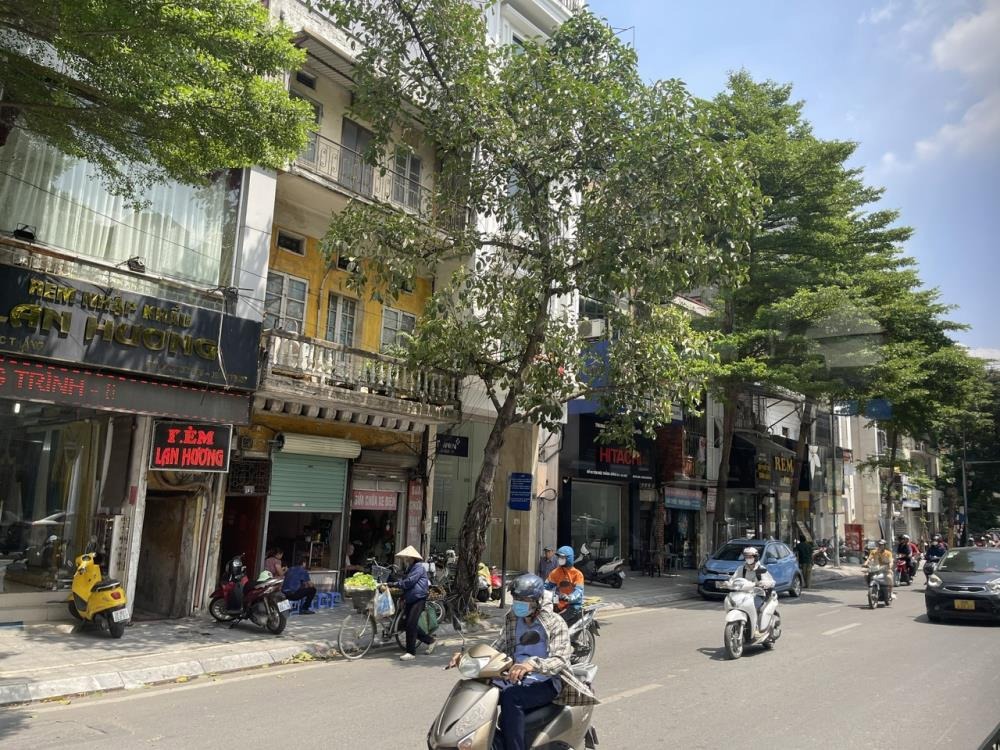 Mặt Phố Tôn Đức Thắng 50m2 - Vị Trí Đắc Địa - Giá 35 Tỷ