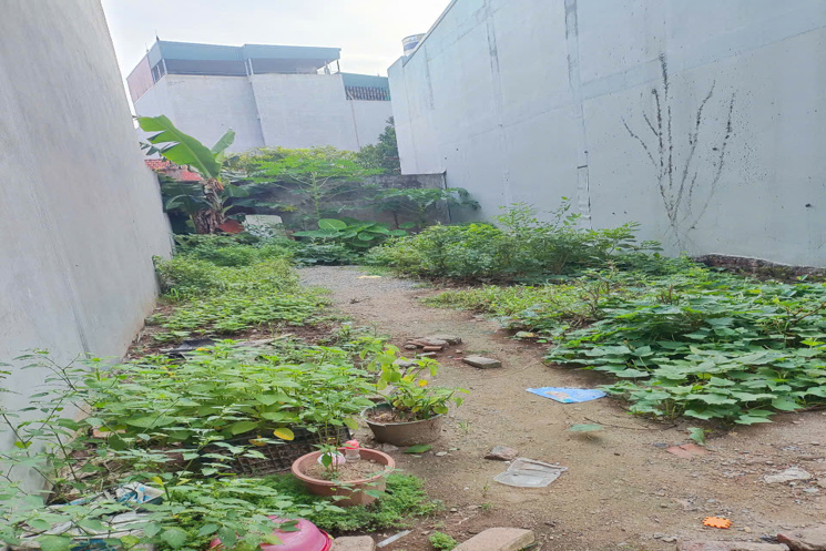 🏡 THỬA ĐẤT ĐẸP ĐẠI ÁNG – RỘNG 80,5M² – Ô TÔ TẢI ĐỖ CỬA – GẦN CHỢ, GẦN HỒ-HƠN 6 TỶ