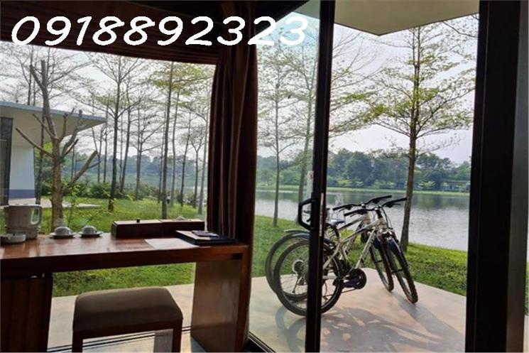 Tại Sao Nên Đầu Tư Hòa Bình Ngay Lúc Này?