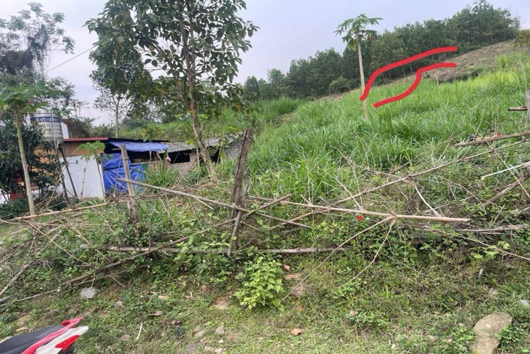 ĐẤT ĐẸP - GIÁ TỐT - CHÍNH CHỦ BÁN Đất Tại Thôn Đồng Thóc, Thạch Quảng, Thạch Thành, Thanh Hoá