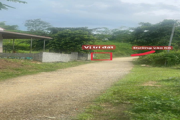 ĐẤT ĐẸP - GIÁ TỐT - CHÍNH CHỦ BÁN Đất Tại Thôn Đồng Thóc, Thạch Quảng, Thạch Thành, Thanh Hoá