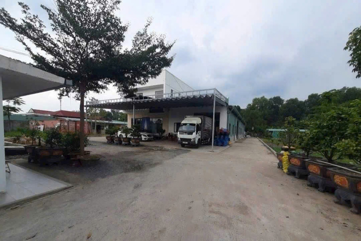 BÁN ĐẤT MẶT TIỀN ĐƯỜNG THANH NIÊN – BÀ ĐIỂM, HÓC MÔN – NGANG KHỦNG 61M