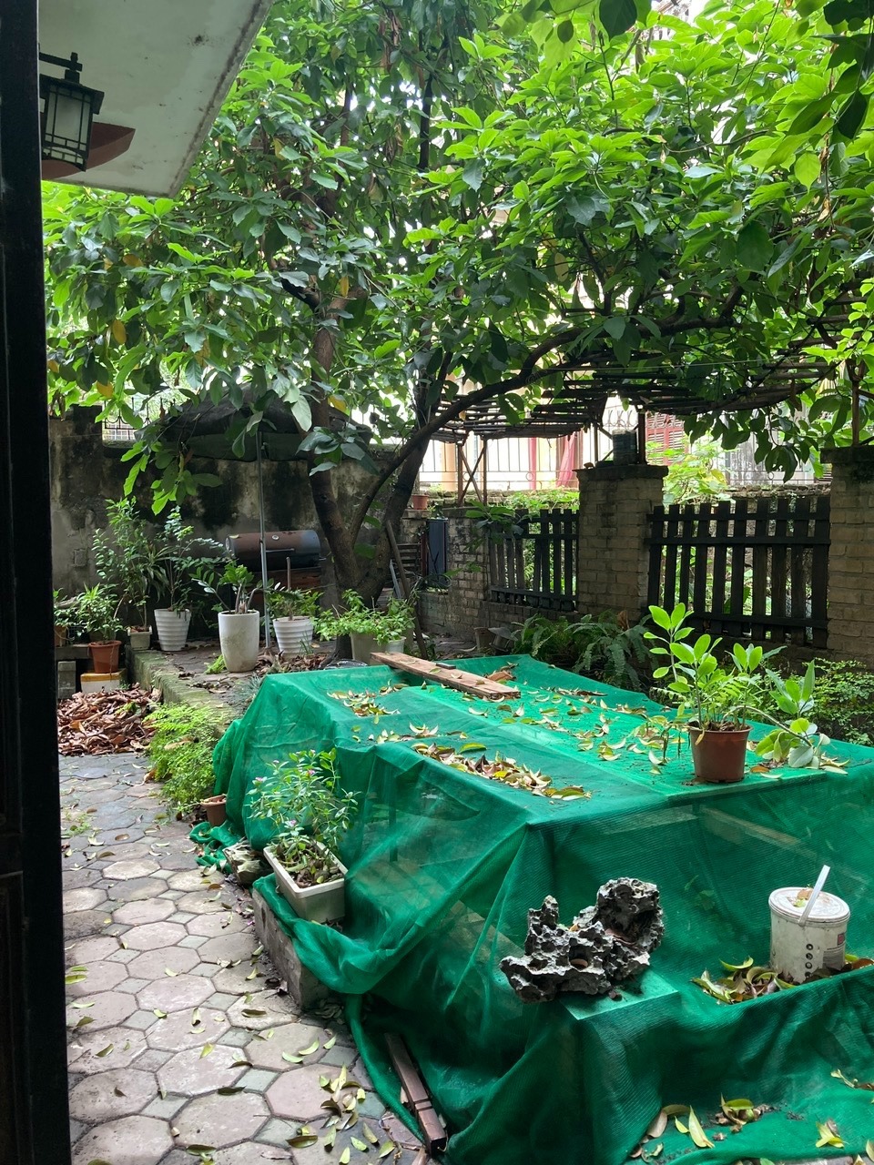 Cho thuê căn studio Long Biên - Giá 5 triệu/tháng - View đẹp, yên tĩnh