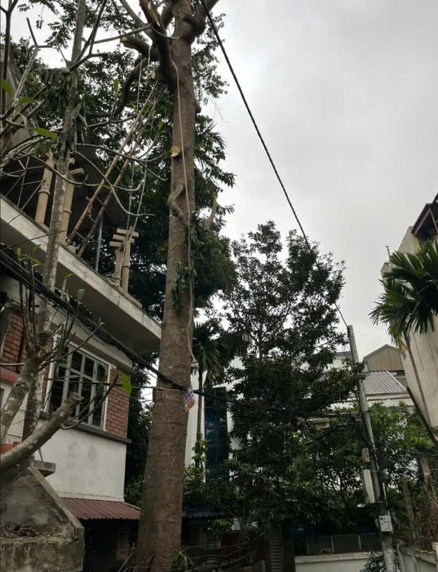 Cho thuê căn studio Long Biên - Giá 5 triệu/tháng - View đẹp, yên tĩnh