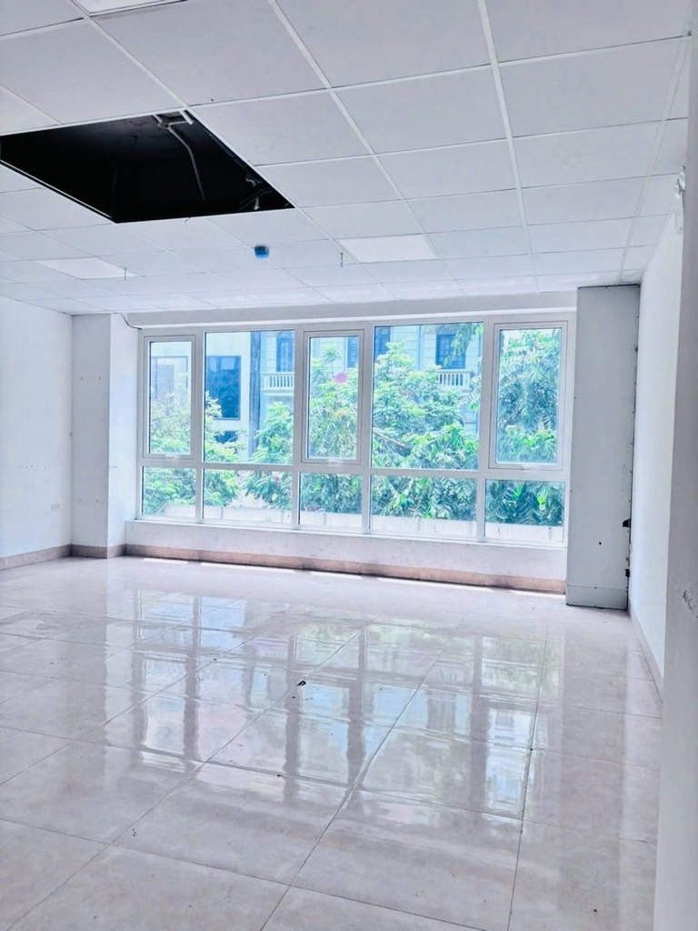 Bán nhà mặt phố Trần Quý Kiên, Cầu Giấy - 7 Tầng, Thang Máy, Kinh Doanh Đỉnh