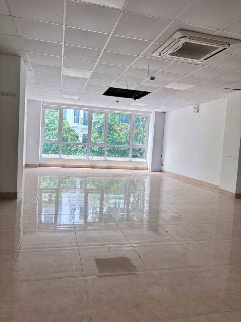 Bán nhà mặt phố Trần Quý Kiên, Cầu Giấy - 7 Tầng, Thang Máy, Kinh Doanh Đỉnh