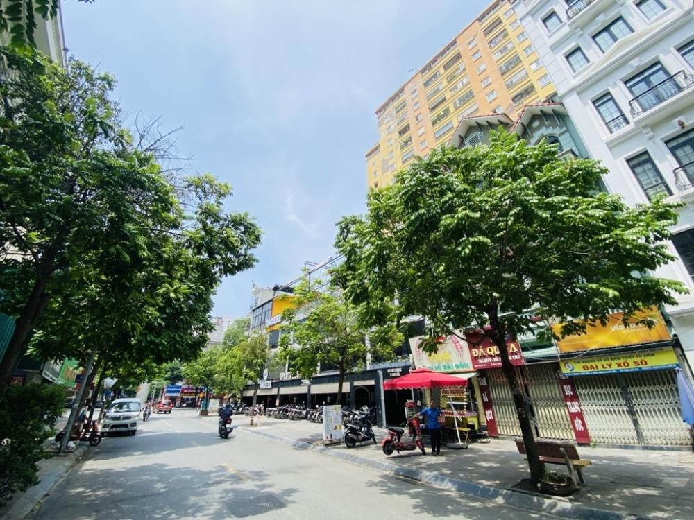 Bán nhà mặt phố Trần Quý Kiên, Cầu Giấy - 7 Tầng, Thang Máy, Kinh Doanh Đỉnh