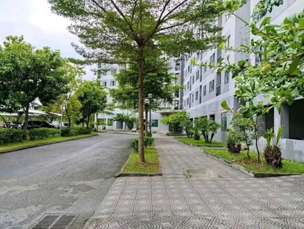Cho Thuê Căn Hộ Hưng Thịnh Kiến Hưng 2PN Full Đồ - Giá 6.5 Triệu/Tháng