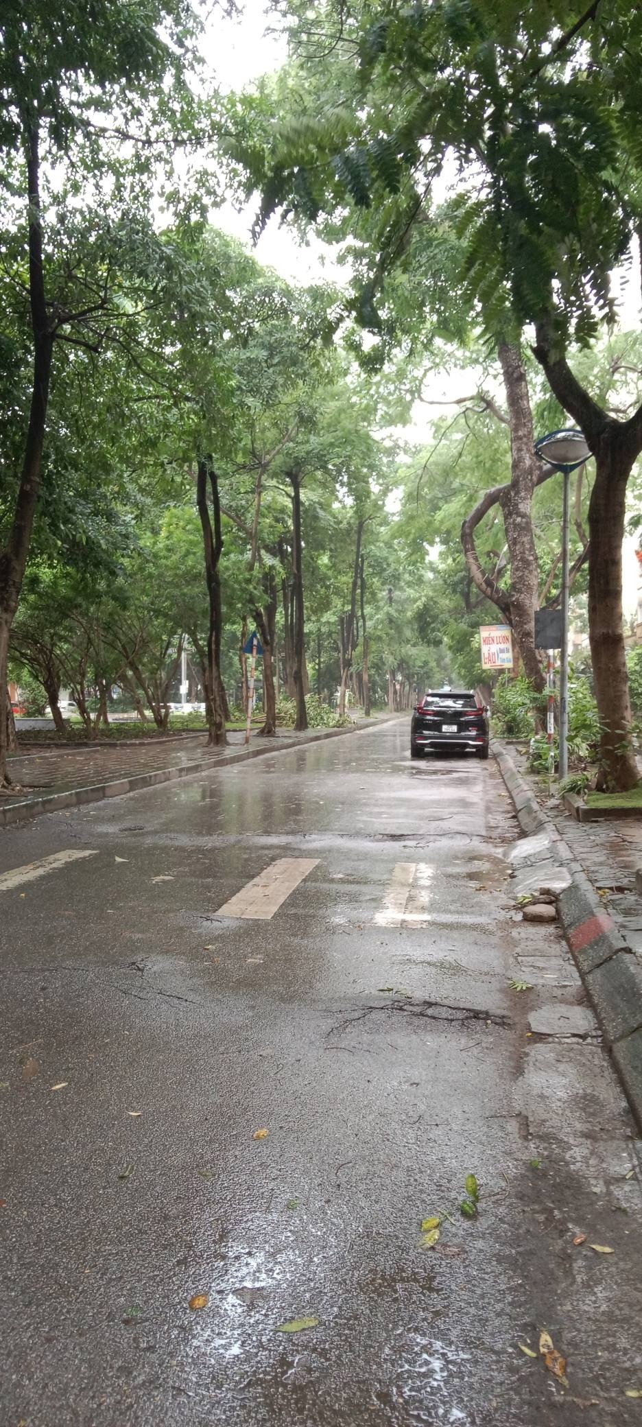 Chung Cư Trần Hữu Dực 83m² 3PN View Công Viên - Giá 5.95 Tỷ
