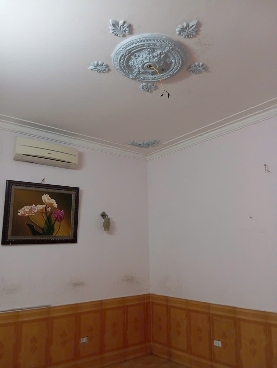 MBKD Đẹp Giá Tốt - Cho Thuê/Mua - Đa Năng - DT 160m² - MT 8.9m