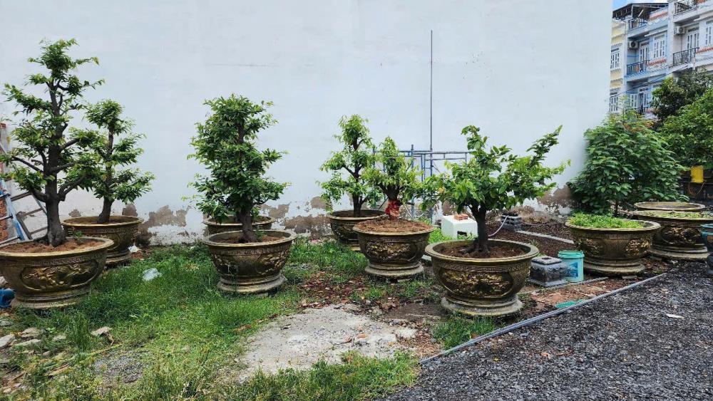 Lô Đất Mặt Tiền Thạnh Xuân 22, Quận 12: Vị Trí Đẹp, Đầu Tư Sinh Lời Cao