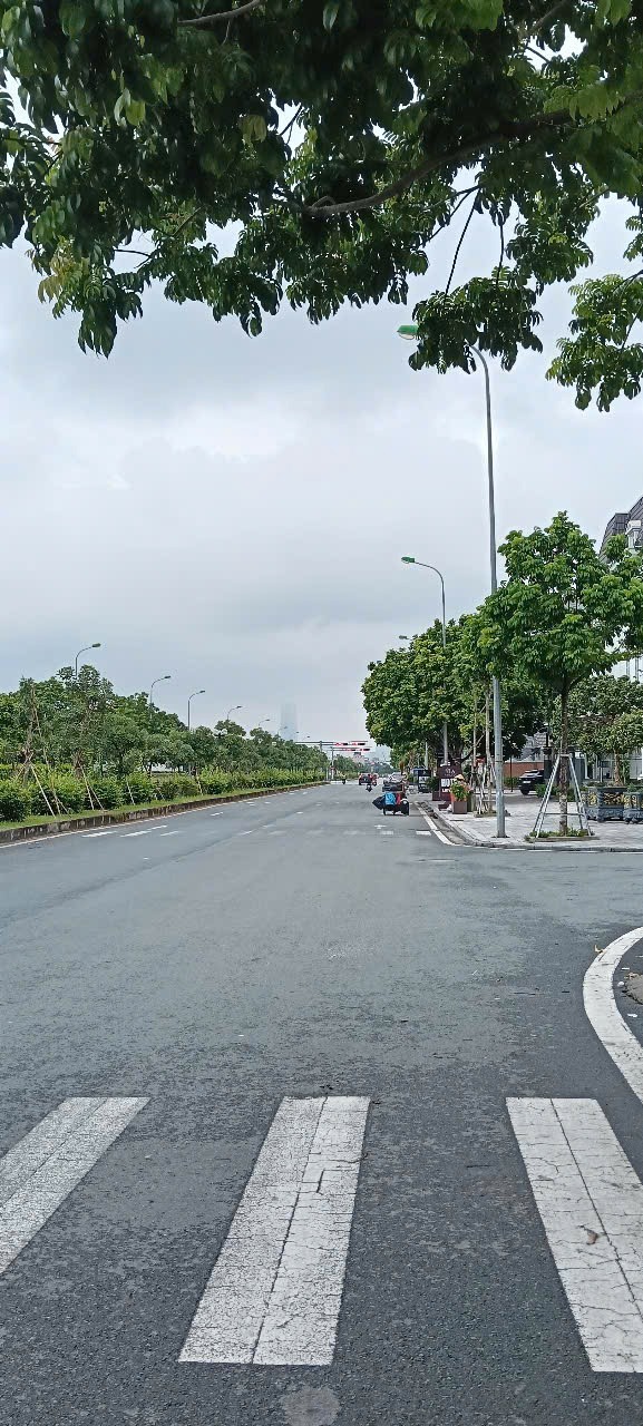 Cho Thuê Biệt Thự Dương Nội 184m2, 3.5 Tầng - Giá 40tr/Tháng