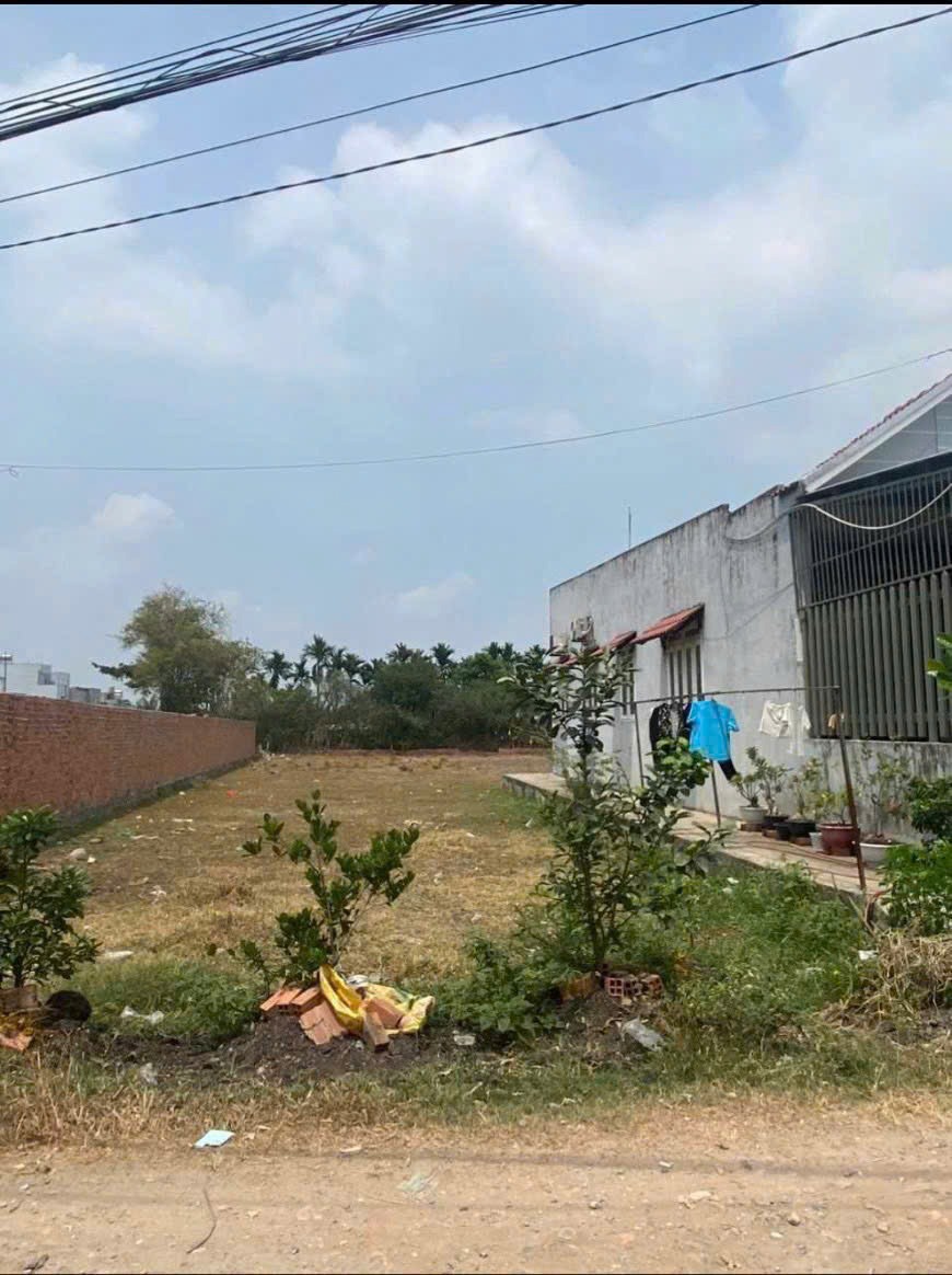 Bán Đất Nền Vị Trí Vàng Bà Điểm, Hóc Môn - 3000m2, Phù Hợp Đầu Tư